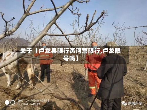 关于【卢龙县限行燕河营限行,卢龙限号吗】