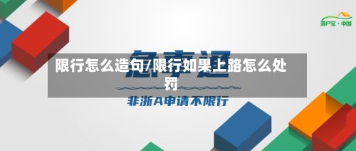 限行怎么造句/限行如果上路怎么处罚