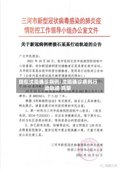 现在沈阳确诊病例/沈阳确诊病例行动轨迹 鸡架-第3张图片