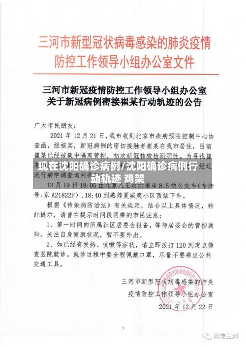 现在沈阳确诊病例/沈阳确诊病例行动轨迹 鸡架-第2张图片
