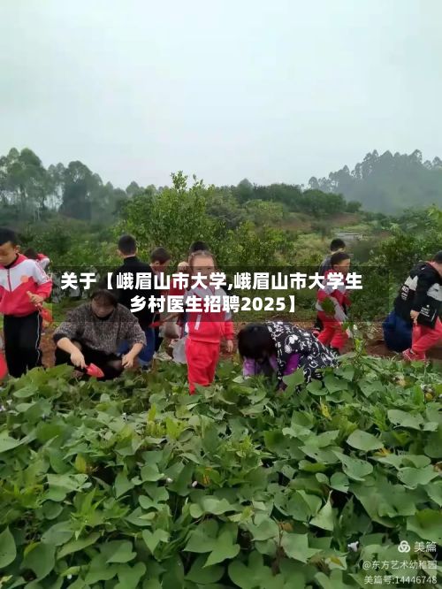 关于【峨眉山市大学,峨眉山市大学生乡村医生招聘2025】