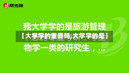 【大学学的重要吗,大学学的是】-第3张图片