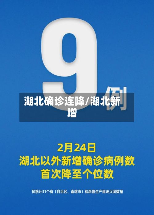 湖北确诊连降/湖北新增