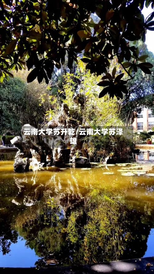 云南大学苏升乾/云南大学苏泽雄