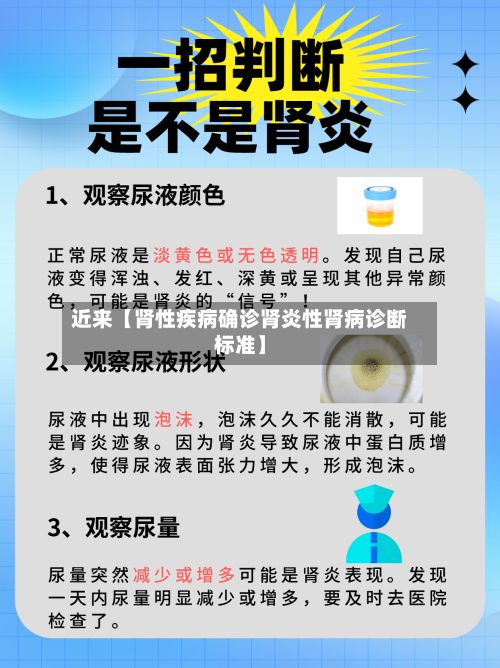 近来【肾性疾病确诊肾炎性肾病诊断标准】