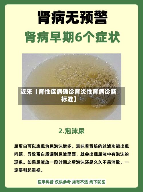 近来【肾性疾病确诊肾炎性肾病诊断标准】-第2张图片