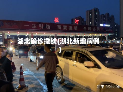 湖北确诊撒钱(湖北新增病例)