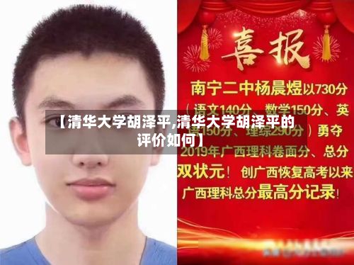 【清华大学胡泽平,清华大学胡泽平的评价如何】-第2张图片