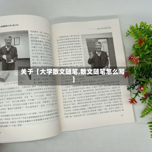 关于【大学散文随笔,散文随笔怎么写】-第2张图片