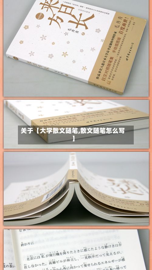 关于【大学散文随笔,散文随笔怎么写】