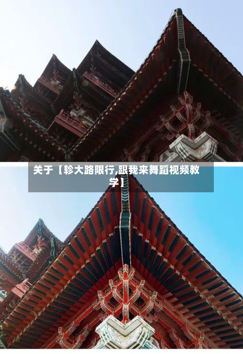 关于【轸大路限行,跟我来舞蹈视频教学】