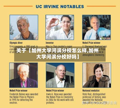 关于【加州大学河滨分校怎么样,加州大学河滨分校好吗】-第2张图片