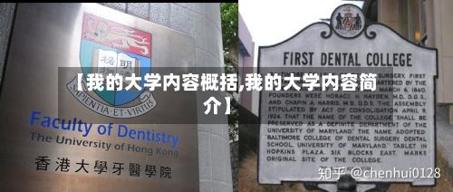 【我的大学内容概括,我的大学内容简介】