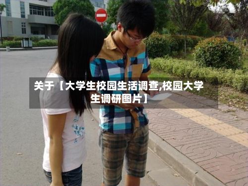 关于【大学生校园生活调查,校园大学生调研图片】-第2张图片