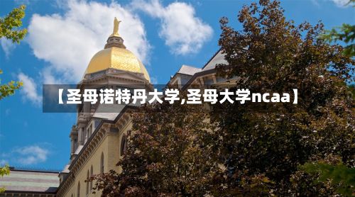 【圣母诺特丹大学,圣母大学ncaa】-第3张图片