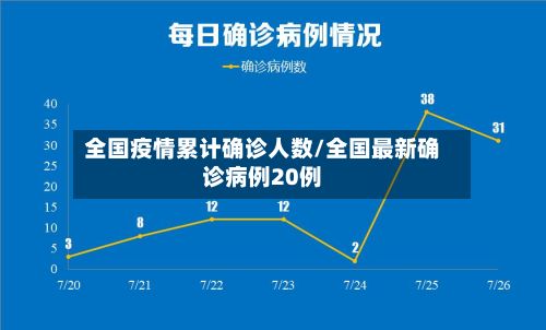 全国疫情累计确诊人数/全国最新确诊病例20例-第3张图片