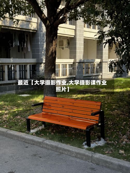 最近【大学摄影作业,大学摄影课作业照片】-第3张图片