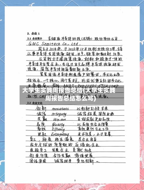 大学生实践周报告总结(大学生实践周报告总结怎么写)