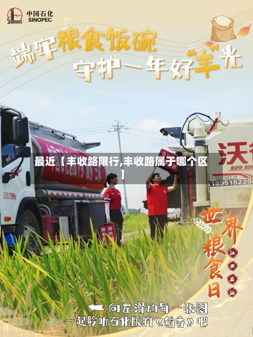 最近【丰收路限行,丰收路属于哪个区】-第2张图片
