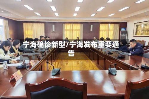 宁海确诊新型/宁海发布重要通告-第2张图片
