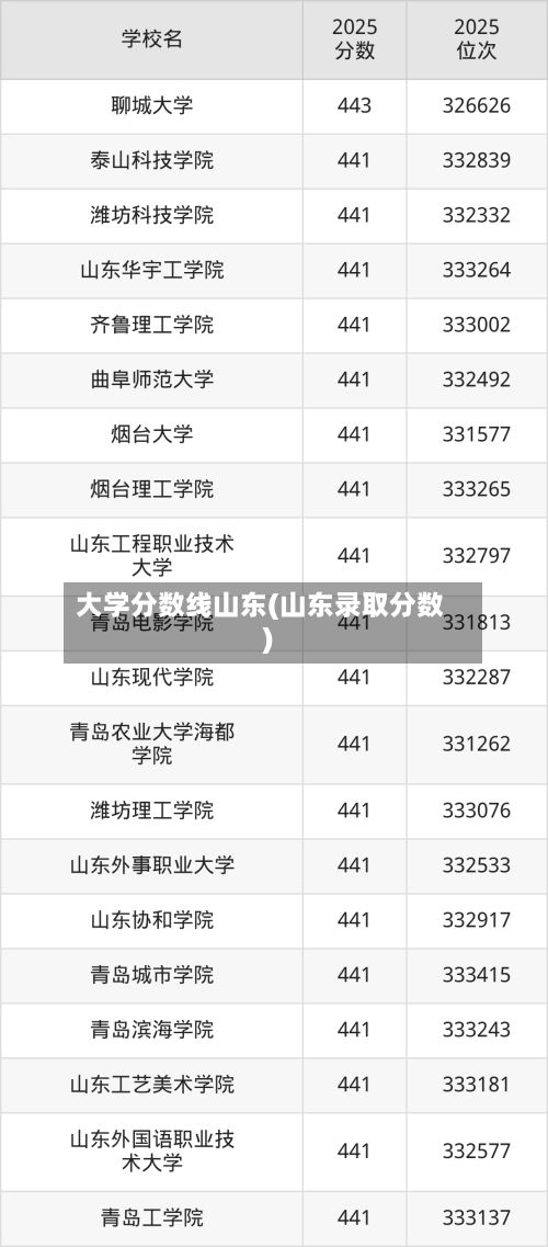 大学分数线山东(山东录取分数)