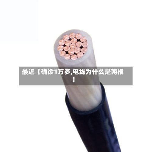 最近【确诊1万多,电线为什么是两根】