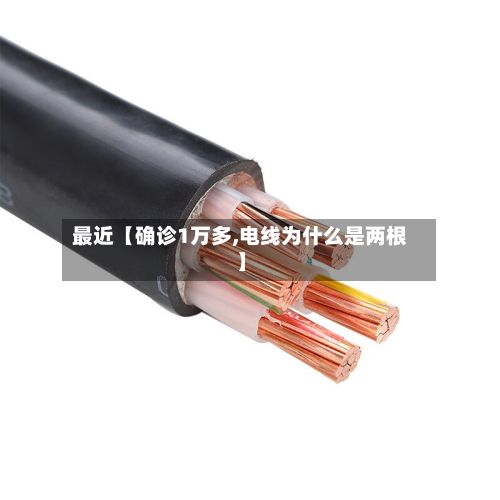 最近【确诊1万多,电线为什么是两根】-第2张图片
