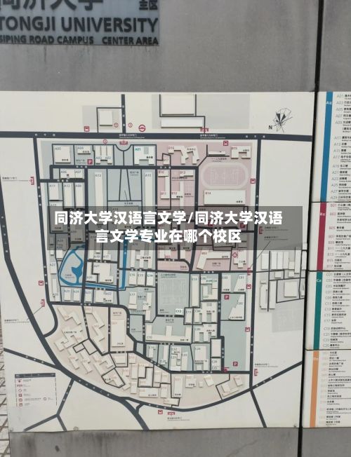 同济大学汉语言文学/同济大学汉语言文学专业在哪个校区-第2张图片