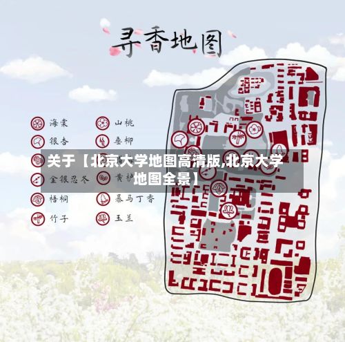 关于【北京大学地图高清版,北京大学地图全景】-第2张图片