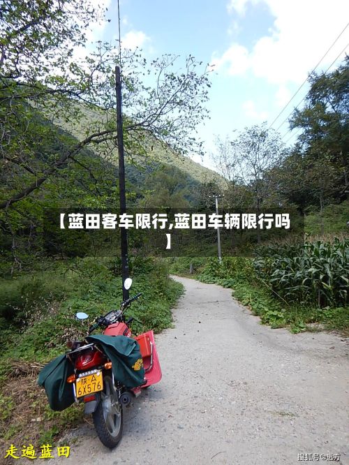【蓝田客车限行,蓝田车辆限行吗】