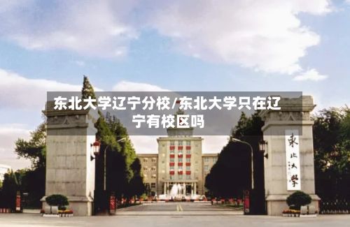 东北大学辽宁分校/东北大学只在辽宁有校区吗