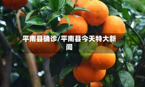 平南县确诊/平南县今天特大新闻-第3张图片