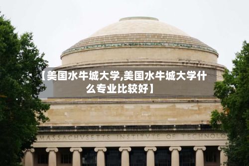 【美国水牛城大学,美国水牛城大学什么专业比较好】