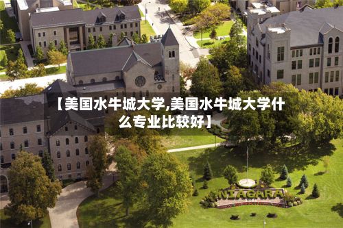 【美国水牛城大学,美国水牛城大学什么专业比较好】-第2张图片