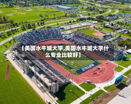 【美国水牛城大学,美国水牛城大学什么专业比较好】-第3张图片