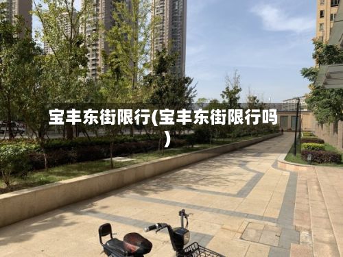 宝丰东街限行(宝丰东街限行吗)-第3张图片