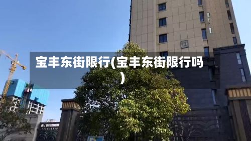 宝丰东街限行(宝丰东街限行吗)