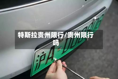 特斯拉贵州限行/贵州限行吗-第3张图片