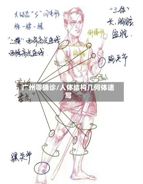 广州零确诊/人体结构几何体速写-第3张图片