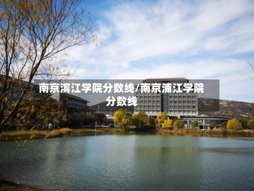南京滨江学院分数线/南京浦江学院分数线-第2张图片
