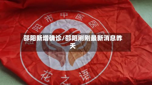 邵阳新增确诊/邵阳刚刚最新消息昨天-第2张图片
