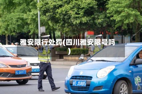 雅安限行处罚(四川雅安限号吗)