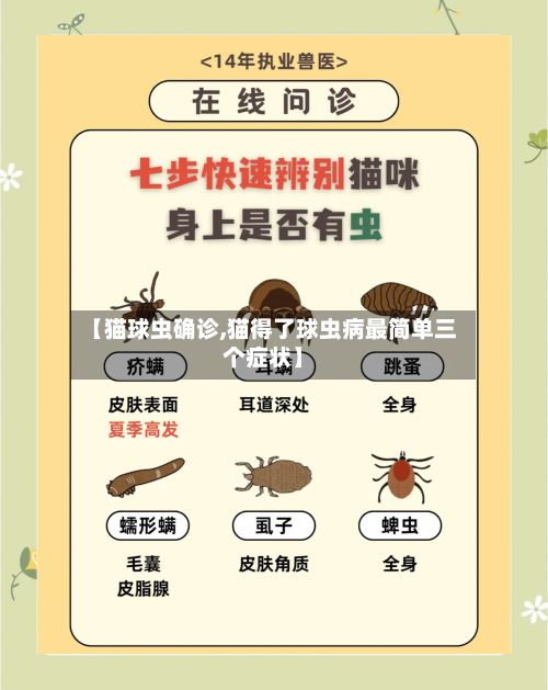 【猫球虫确诊,猫得了球虫病最简单三个症状】-第2张图片