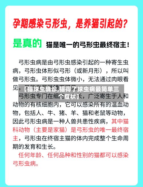 【猫球虫确诊,猫得了球虫病最简单三个症状】