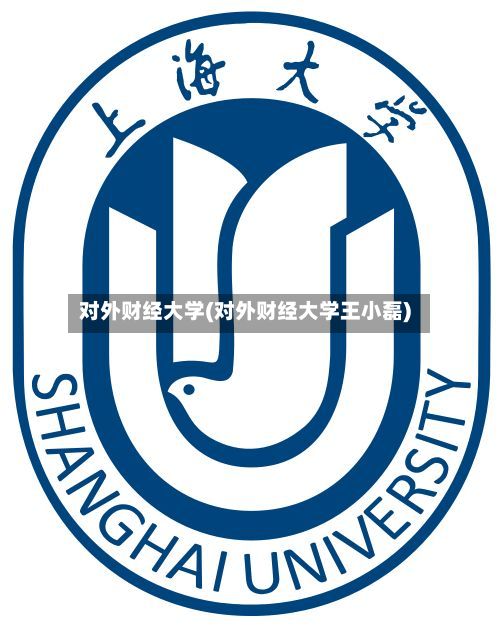 对外财经大学(对外财经大学王小磊)
