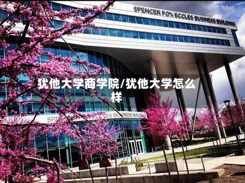 犹他大学商学院/犹他大学怎么样-第3张图片