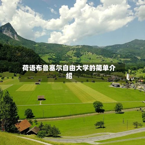 荷语布鲁塞尔自由大学的简单介绍-第2张图片