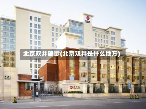 北京双井确诊(北京双井是什么地方)-第2张图片