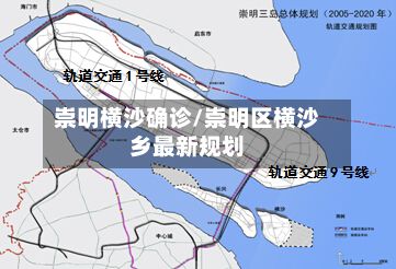 崇明横沙确诊/崇明区横沙乡最新规划-第2张图片