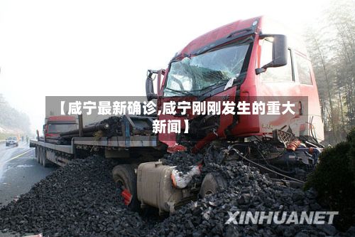 【咸宁最新确诊,咸宁刚刚发生的重大新闻】
